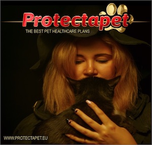 Witch holding and hugging a Black Cat advertising Protectapets Pet Healthcare Plans in Spain.